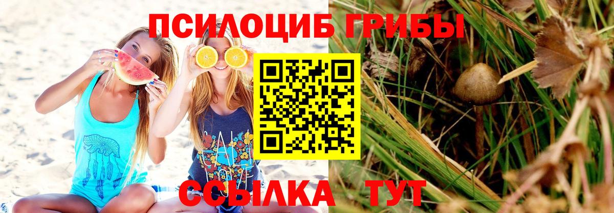 Галлюциногенные грибы прущие грибы Щёкино