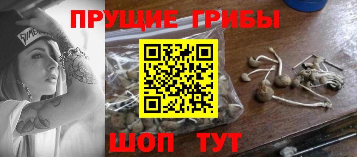 Галлюциногенные грибы MAGIC MUSHROOMS  Псилоцибиновые грибы MAGIC MUSHROOMS  Щёкино  Вход с VPN 